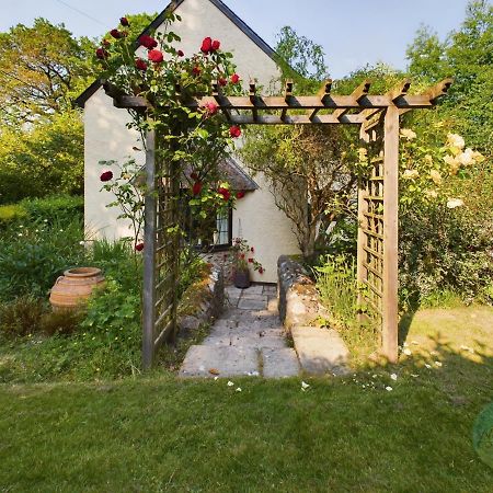 Sundowner - Axminster Devon Villa Eksteriør billede