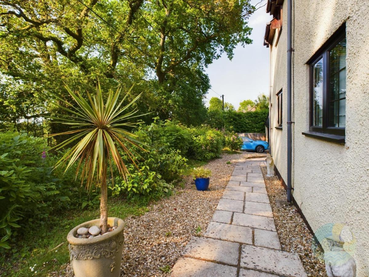 Sundowner - Axminster Devon Villa Eksteriør billede